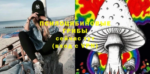 дурь Абинск