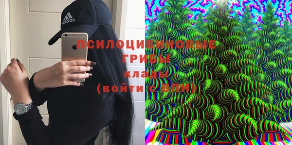 дурь Абинск