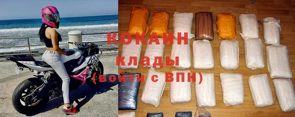 винт Абаза