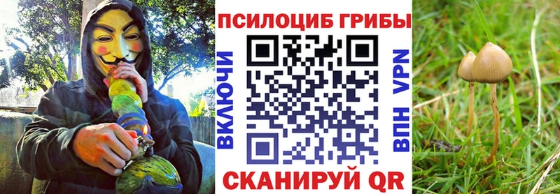 даркнет состав Стрежевой Псилоцибиновые грибы Magic Shrooms